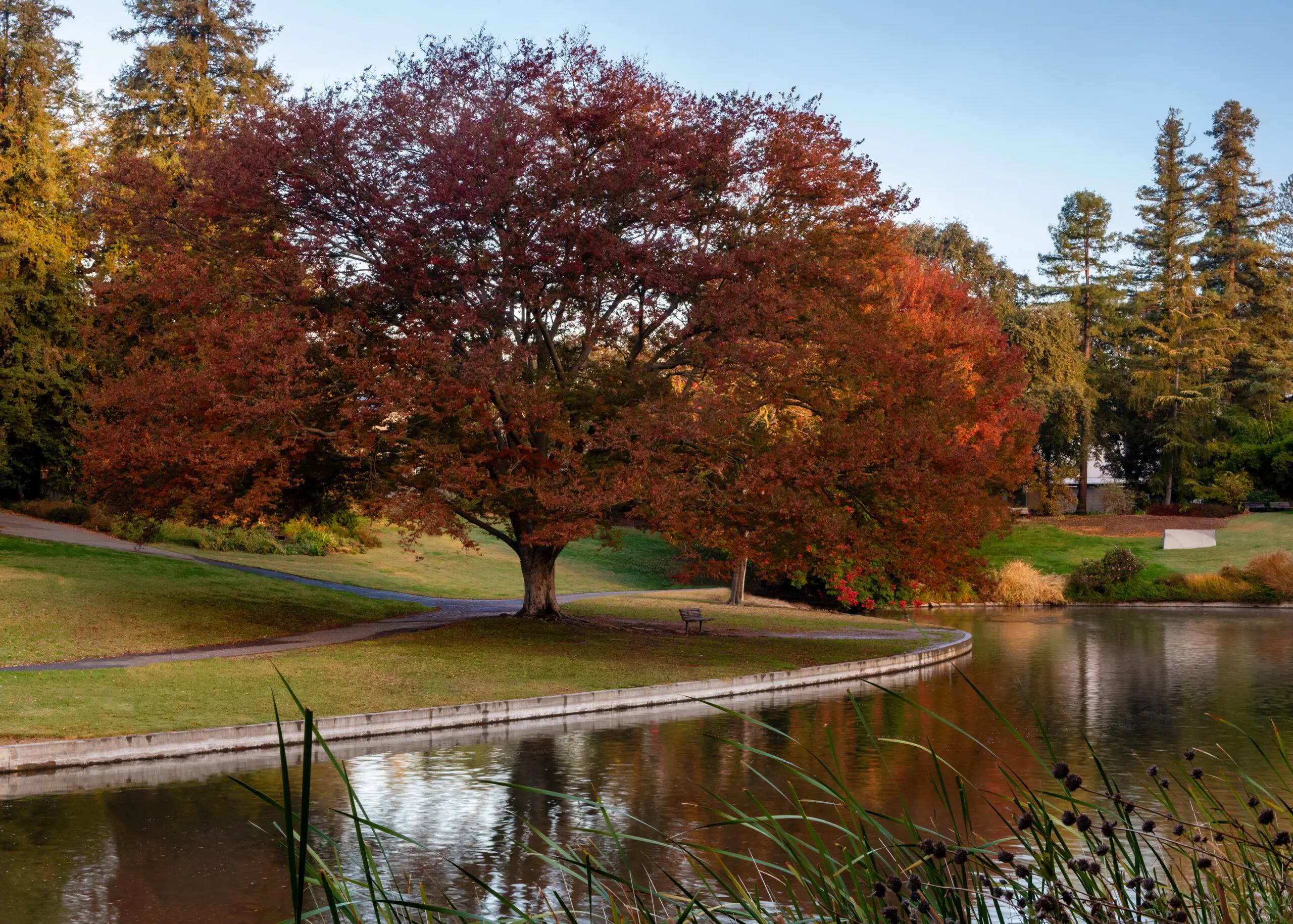 University Retirement Community at Davis photo 11